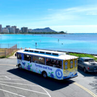 Waikiki turtle trolley