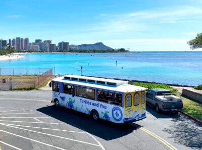 Waikiki turtle trolley